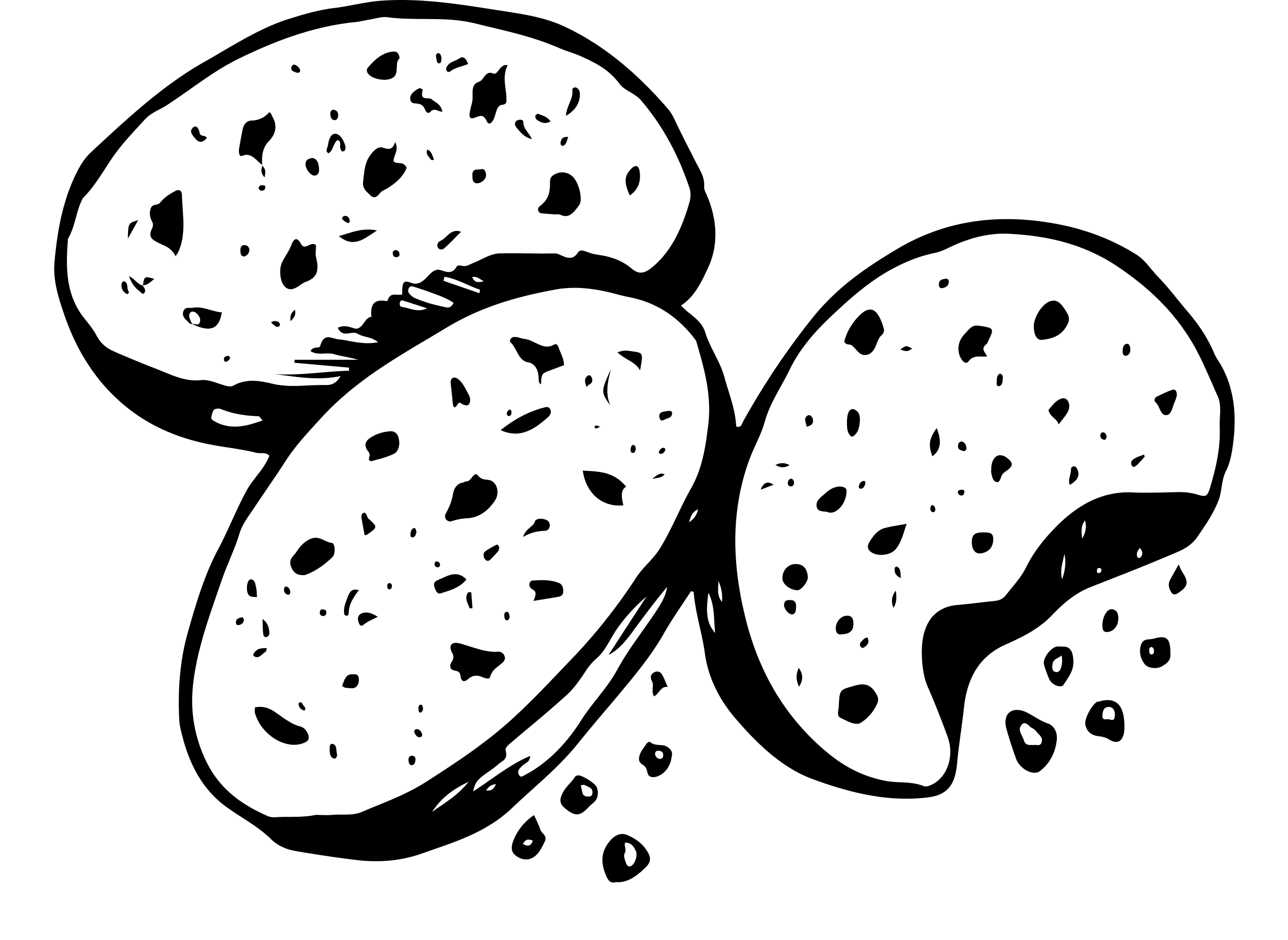 Medium-Logo-Black-on-Transparent.png